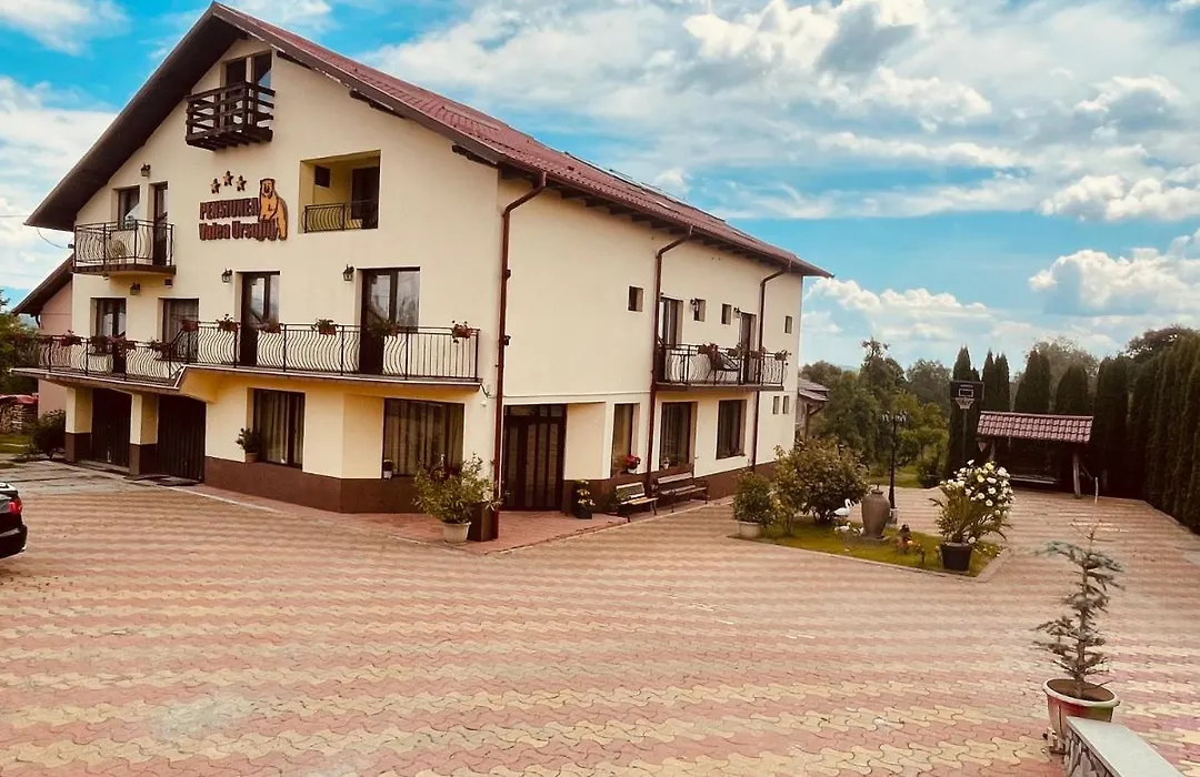 Pensiunea Valea Ursului-1
