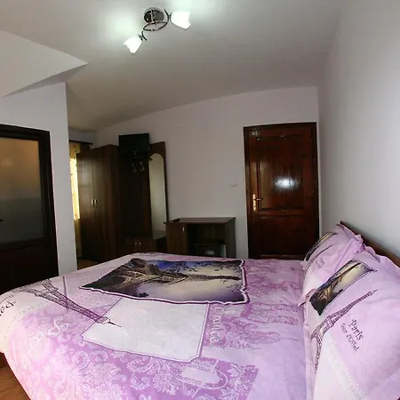 Pensiunea Valea Ursului-3